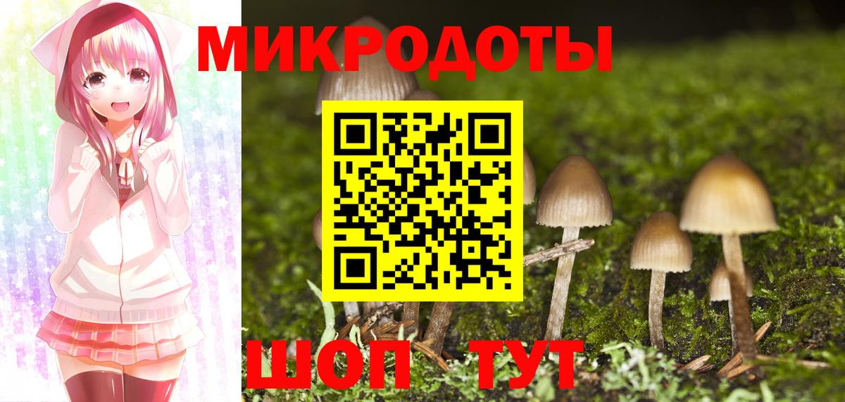 Псилоцибиновые грибы Cubensis Туймазы