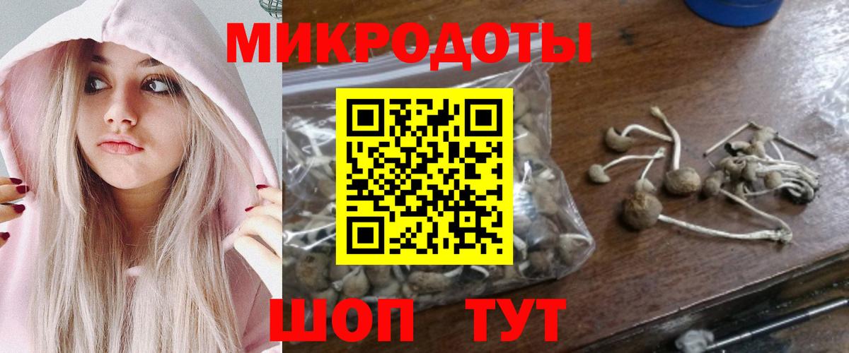 купить  цена  Вход с VPN  Псилоцибиновые грибы ЛСД  Туймазы  Псилоцибиновые грибы Psilocybe 