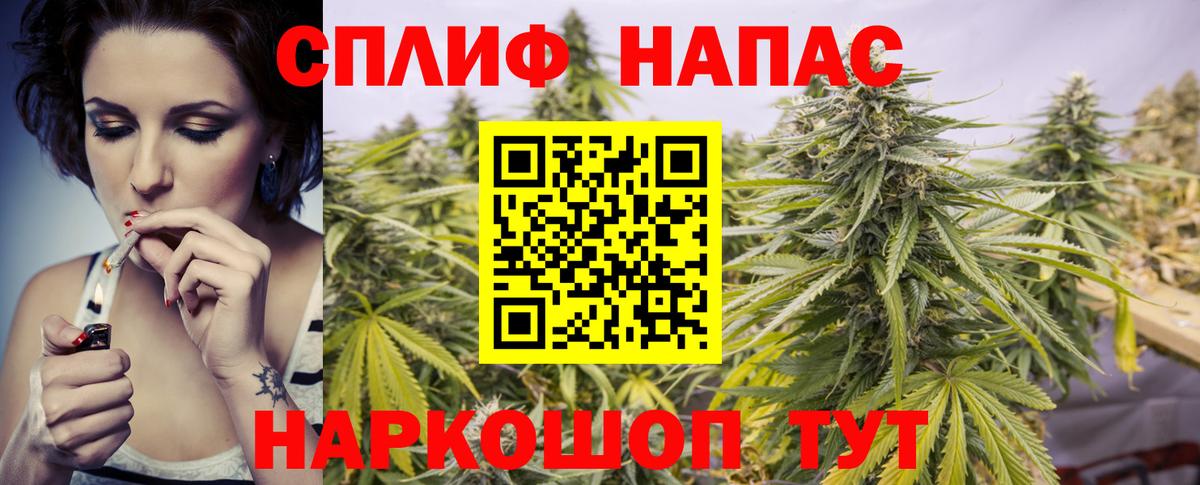 МАРИХУАНА семена Туймазы
